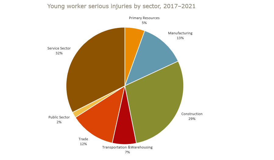 Young worker serious injuries by sector, 2017 to 2021. Primary resources=5%; Manufacturing=13%; Construction=29%; Transportation and warehousing=7%; Trade=12%; Public sector=2%; Service sector=32%