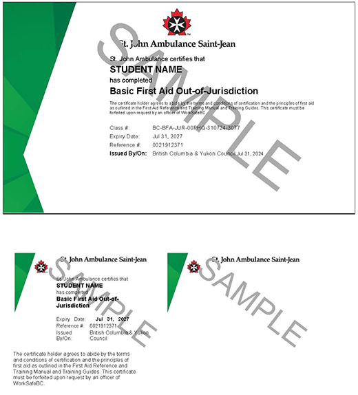 image of ticket for St. John Ambulance Basic First Aid Out-of-Jurisdiction