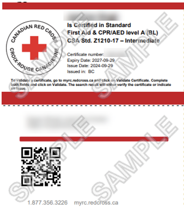 Front and back of Canadian Red Cross - Standard First Aid & CPR/AED level A (BL) CSA Std. Z1210-17 - Intermediate certificate