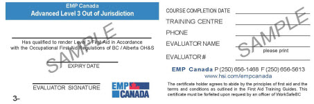 Red cross advanced first aid certificate