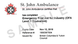 OFA Level 1 Surrey, Occupational First Aid Level 1 Surrey - Mainland Safety