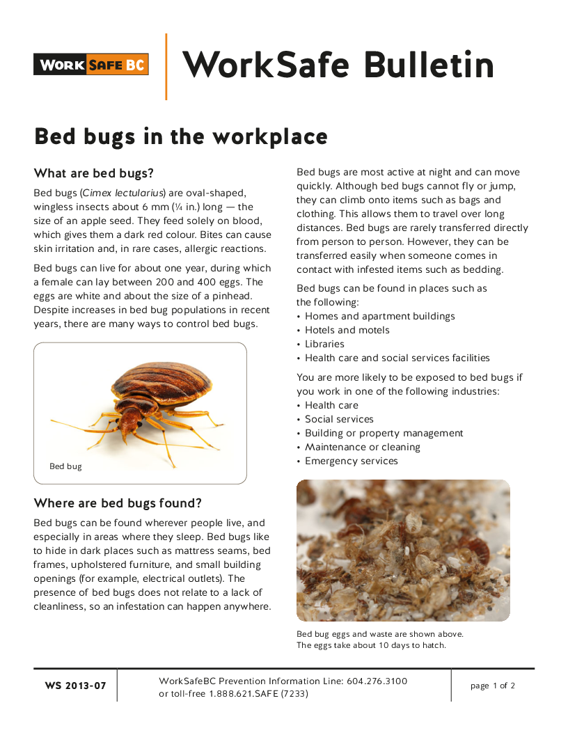 How To Report Bed Bugs In The Workplace | Bed Bug Get Rid